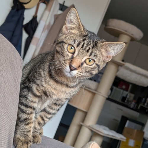 No photo for Marty Mc Fly