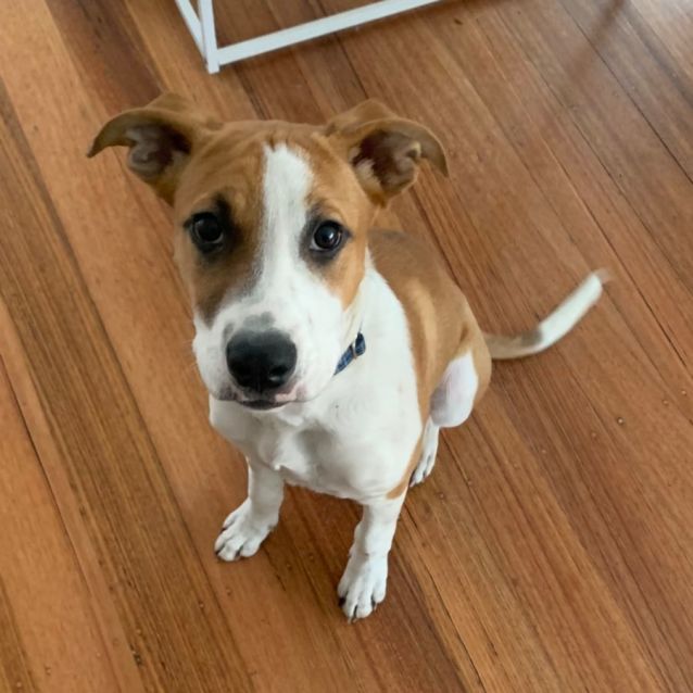 Photo of Princess Florine