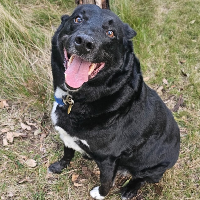 Photo of Cubby