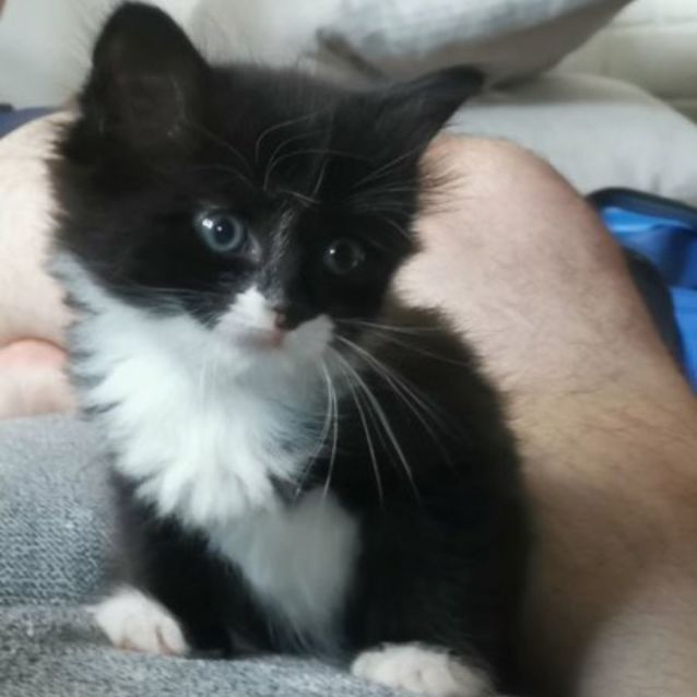 Photo of Pecan (Located In Brunswick West)