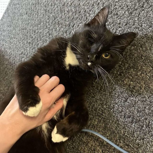 Photo of Major Tom & Billy Joel