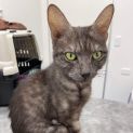 Photo of Lilith