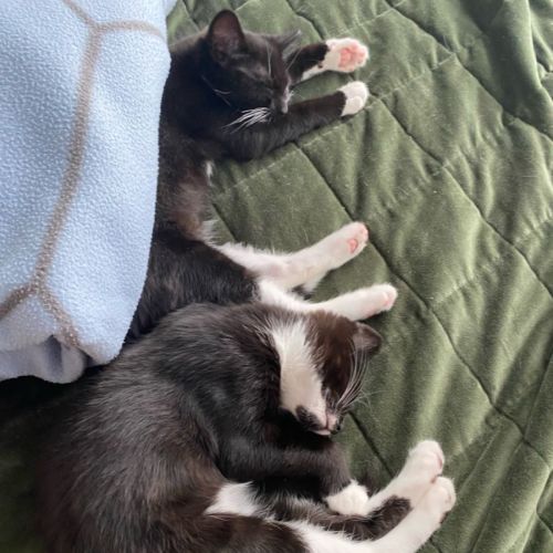 Avani and Nika 