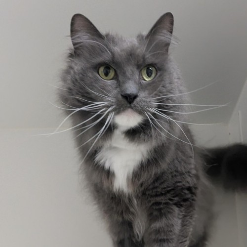 No photo for 💞 Pablo 6791 💞