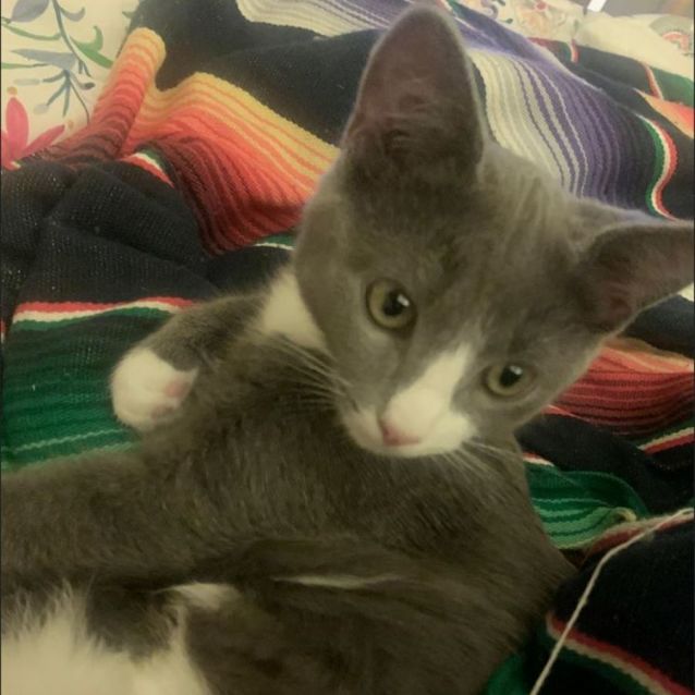 Photo of Marvelous Meredith