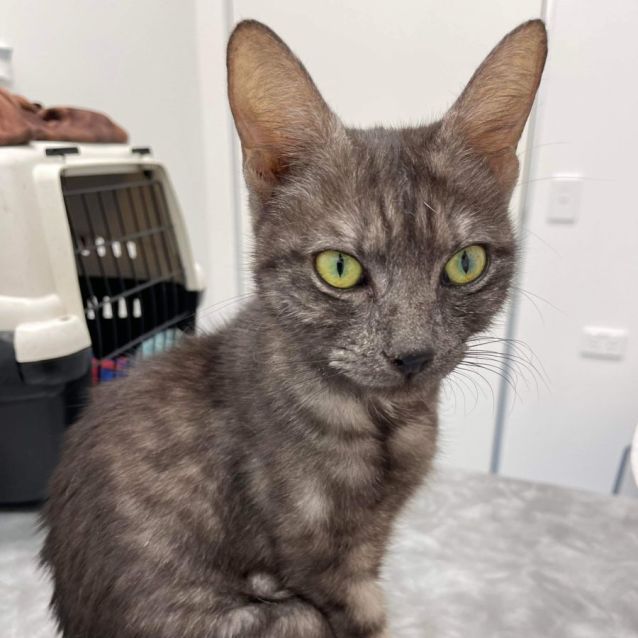 Photo of Lilith