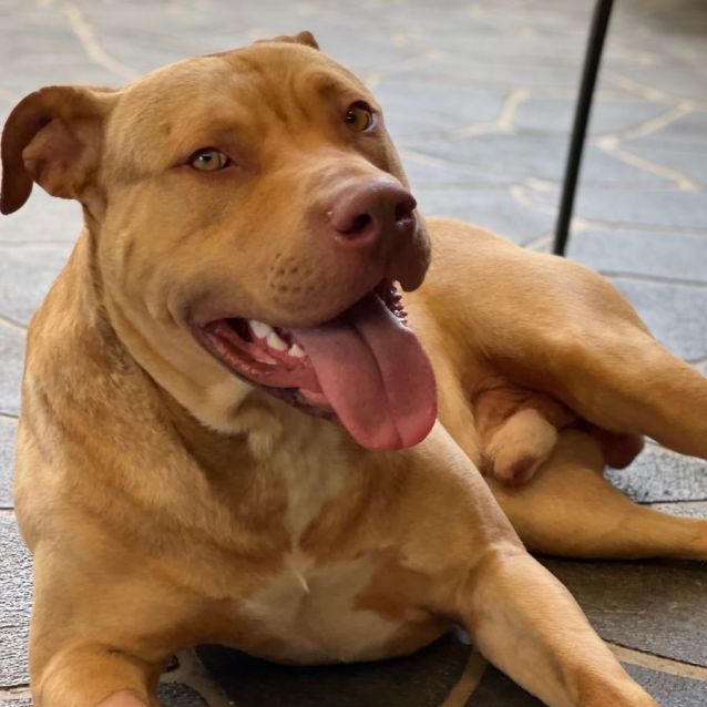 Photo of Doogan 