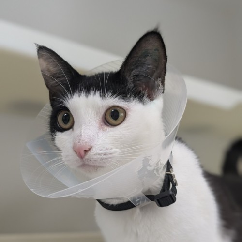 🌺 Yasmine 5798 🌺