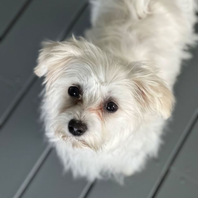 Photo of Annabelle 🎀