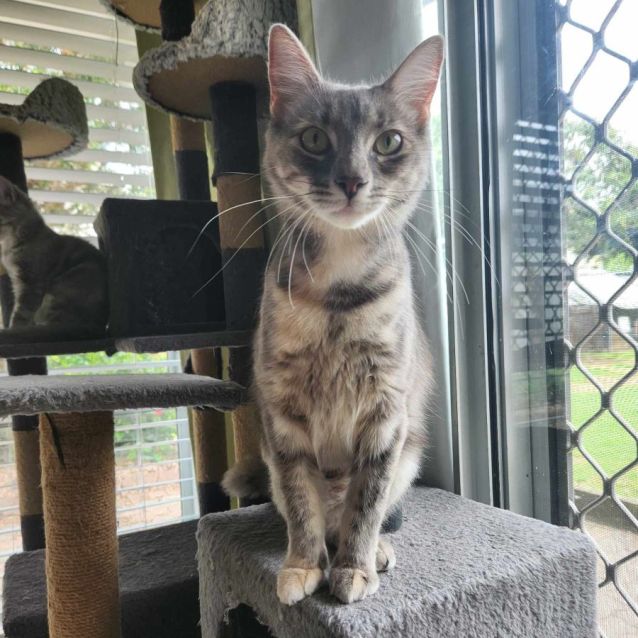 Photo of Pepper