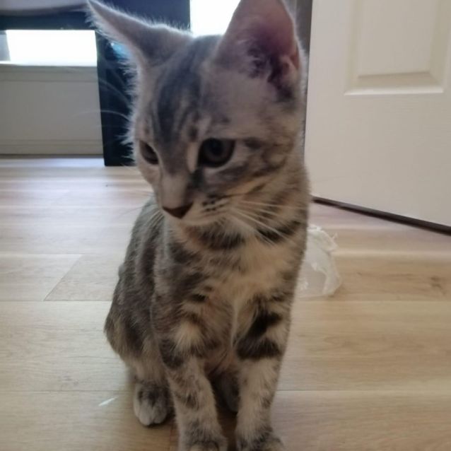 Photo of Harriet