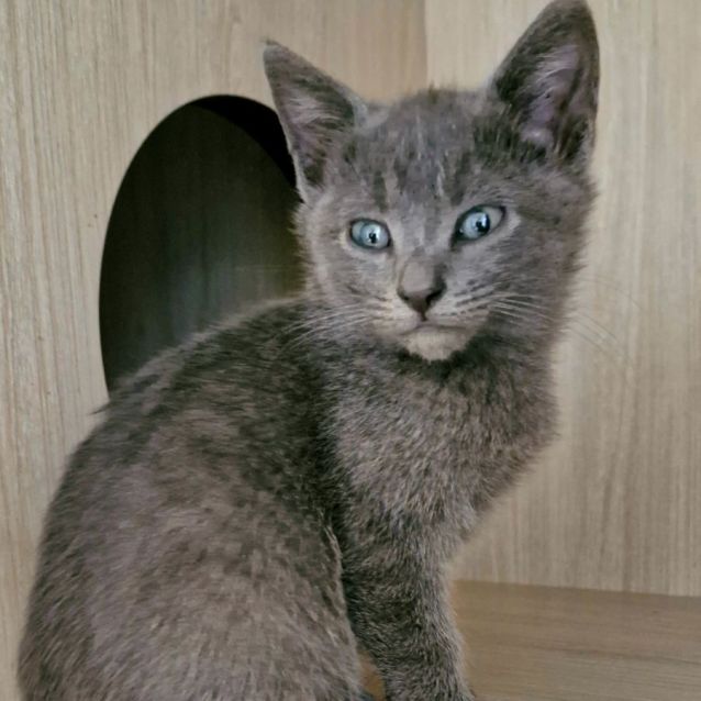 Photo of C1328 Baxter