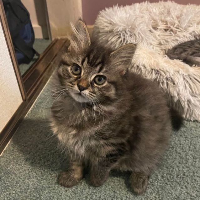 Photo of Mooni (Located In Edithvale)