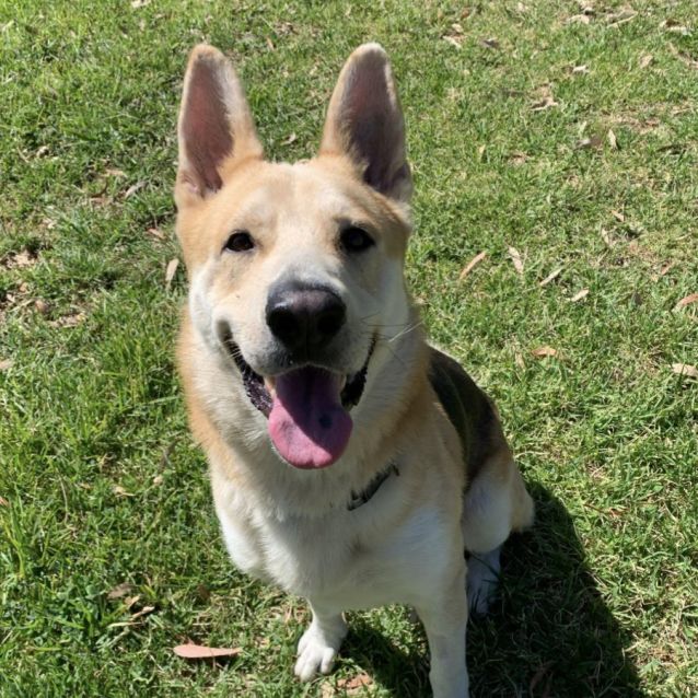 Photo of 🌿 Hugo C04795 🌿