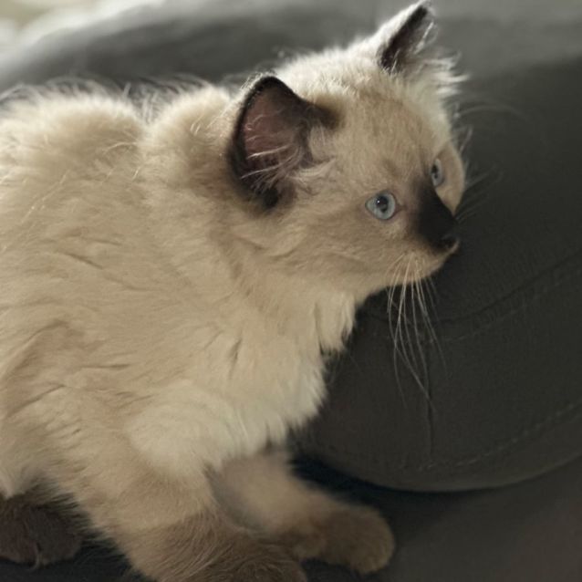 Photo of Willow ❤️🥰