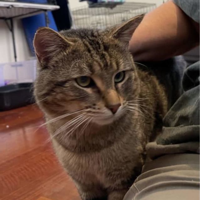 Photo of Marvelous Malcolm 