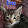 Photo of Eris