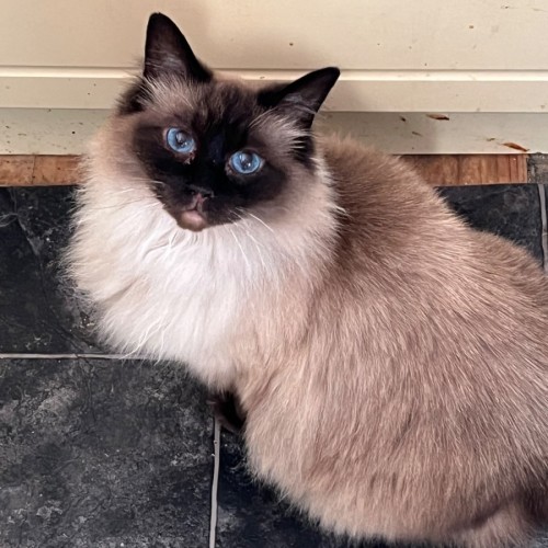 Lolly - we can possibly assist with transport