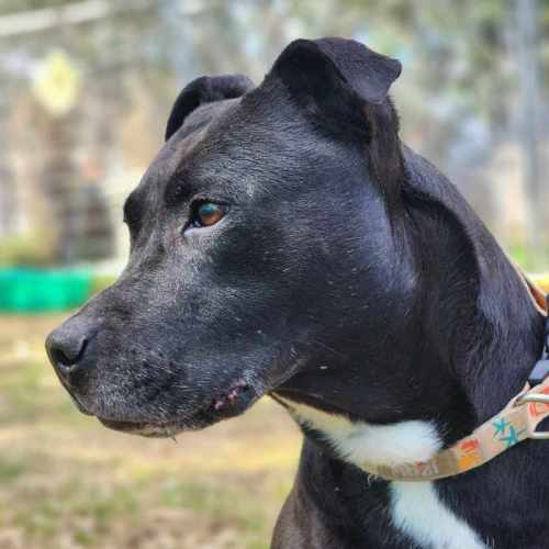 🍂 Sienna 5634 🍂