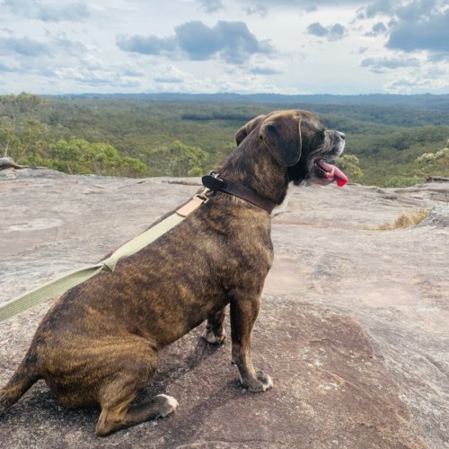 No photo for Frederick 