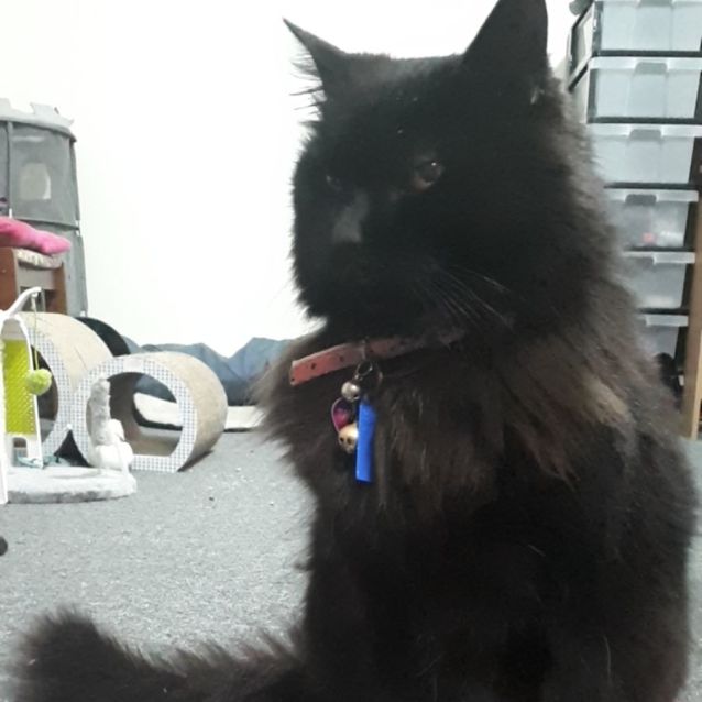 Photo of Thelma And Louise