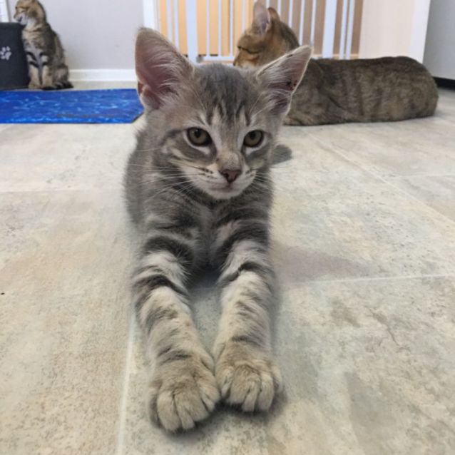 Photo of Flower 🌻 Meet Me @ Petstock Chelsea