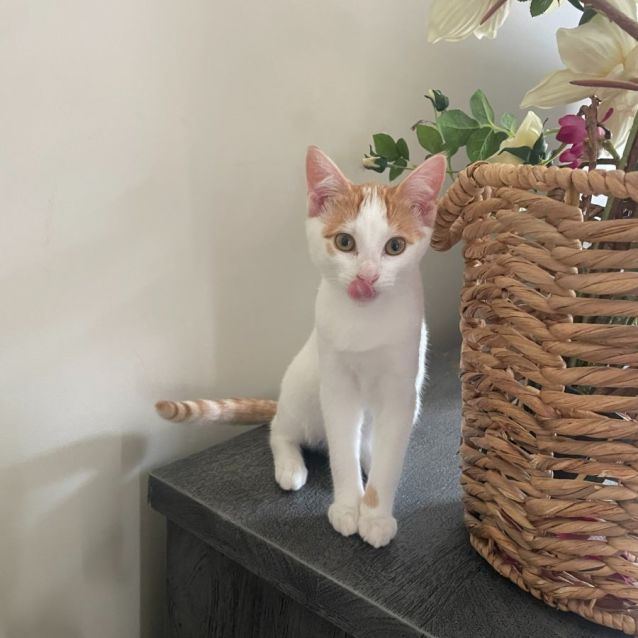 Photo of Harper 🌻🌻