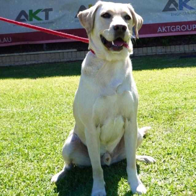 Photo of Jett