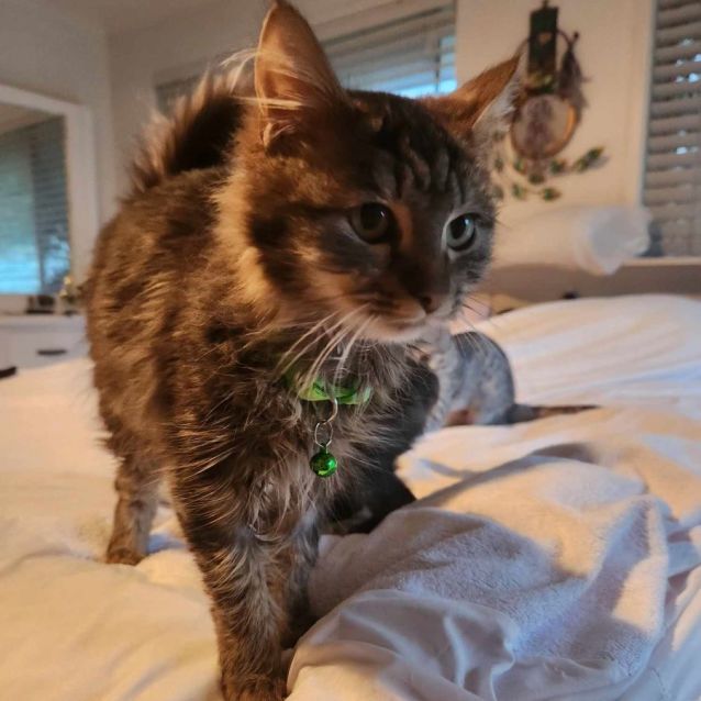 Photo of Baskin