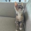 Photo of Cally