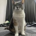 Photo of Callie
