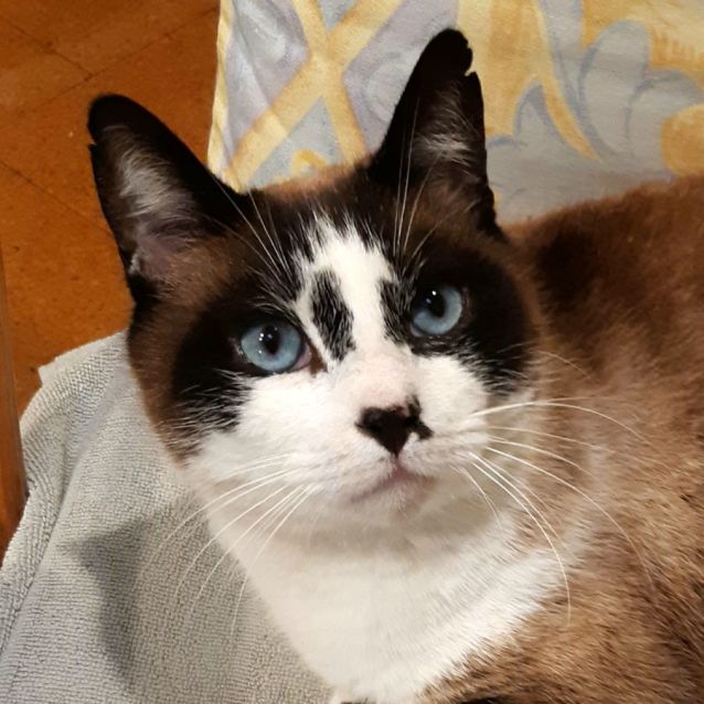 Photo of Barnaby