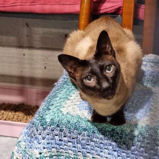 Photo of Nalah