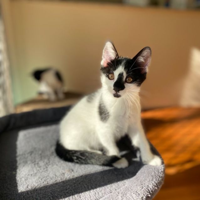 Photo of 🐨Blinky Bill🐨