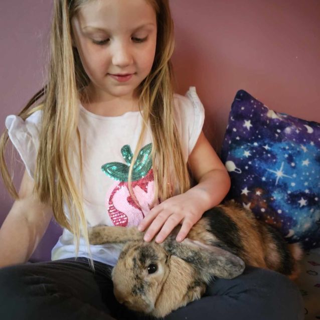 Photo of Mrs Claws (Located In Mount Evelyn)