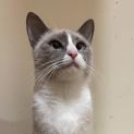 Photo of Tinkerbell