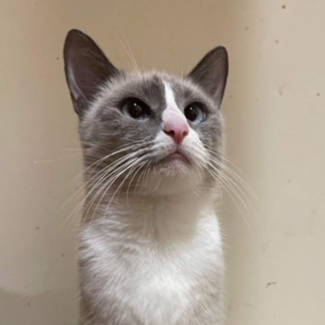 Photo of Tinkerbell