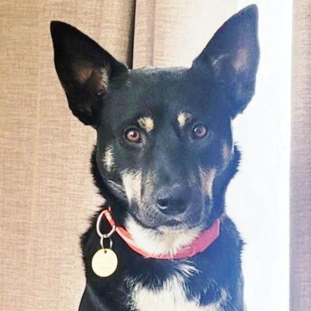 Photo of Zemirah