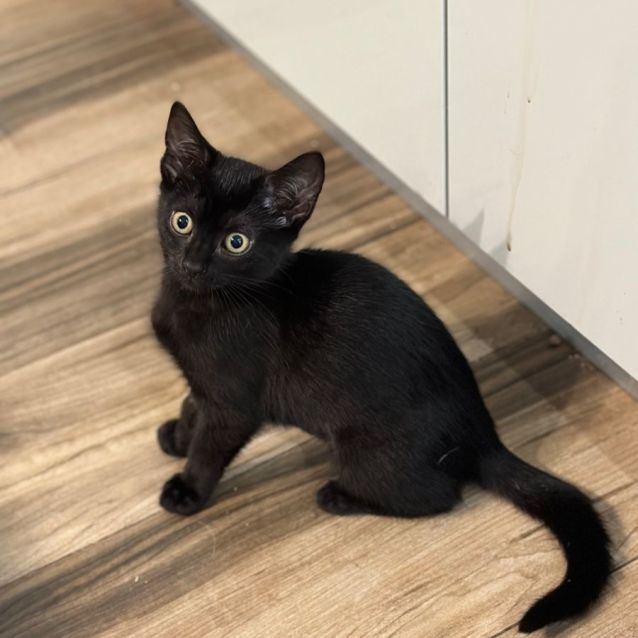 Photo of 🍫🍒 Cherry Ripe 🍒🍫