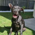Photo of Beryl