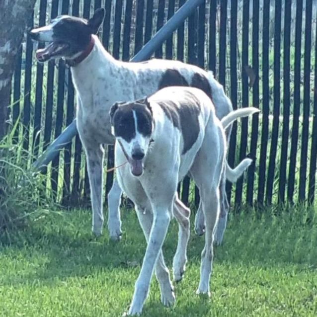 Photo of Bonnie & Cindy