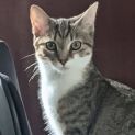 Photo of Spice