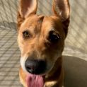Photo of Roxy