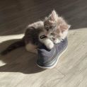 Photo of Spicy