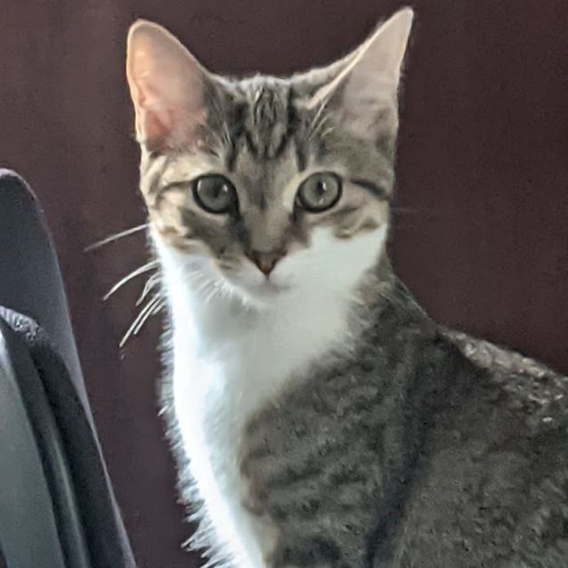 Photo of Spice