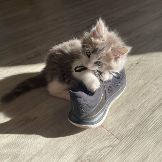 Photo of Spicy