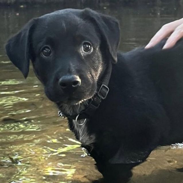 Photo of Matilda