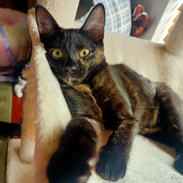 Photo of Buffy