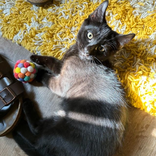 Photo of Chase & Foreman