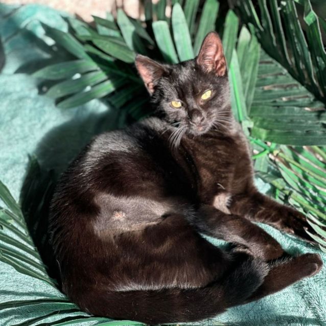 Photo of Luna Mae 🌷